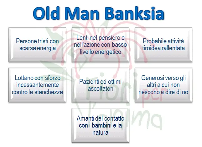 Schema riassuntivo dell'essenza