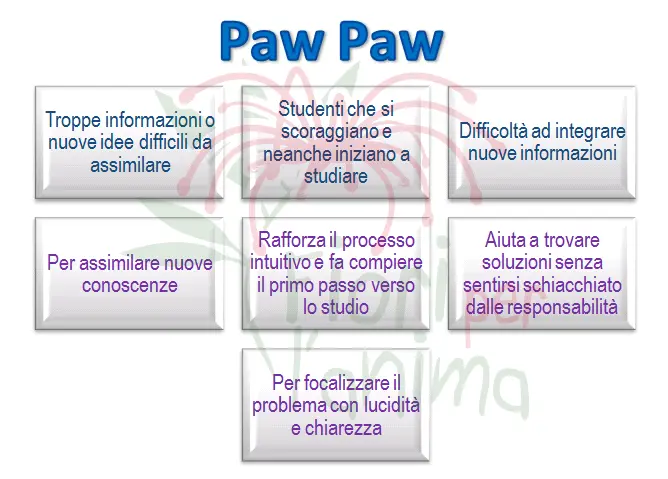 Schema riassuntivo dell'essenza