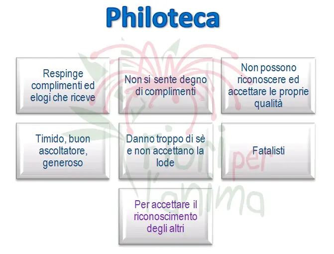 Schema riassuntivo dell'essenza