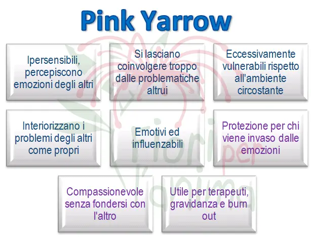 Schema riassuntivo dell'essenza