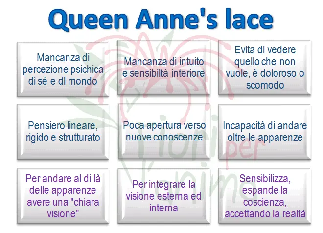 Schema riassuntivo dell'essenza