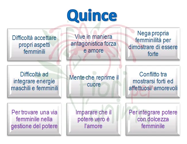 Schema riassuntivo dell'essenza