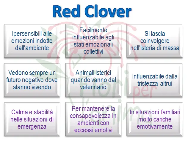 Schema riassuntivo dell'essenza