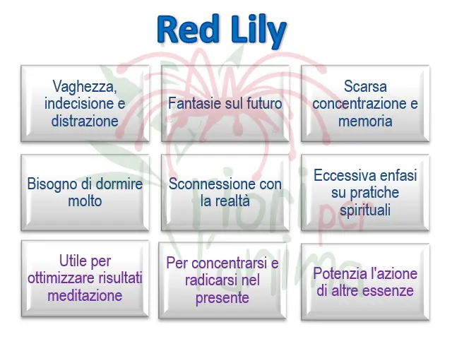 Schema riassuntivo dell'essenza