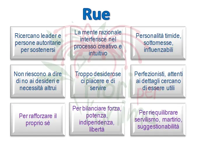 Schema riassuntivo dell'essenza