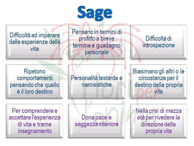 Schema riassuntivo dell'essenza