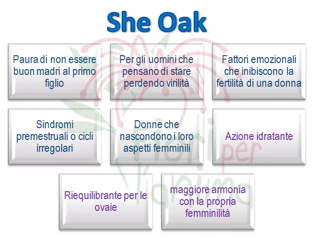 Schema riassuntivo dell'essenza
