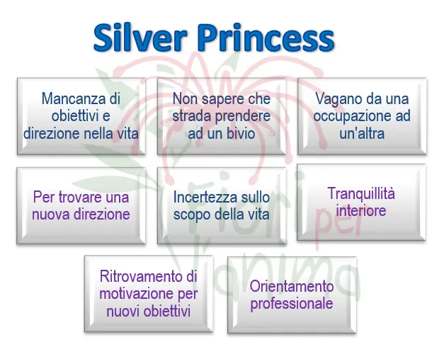 Schema riassuntivo dell'essenza