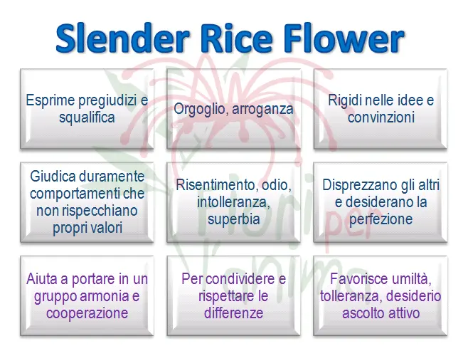 Schema riassuntivo dell'essenza