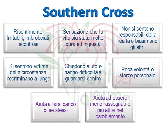 Schema riassuntivo dell'essenza