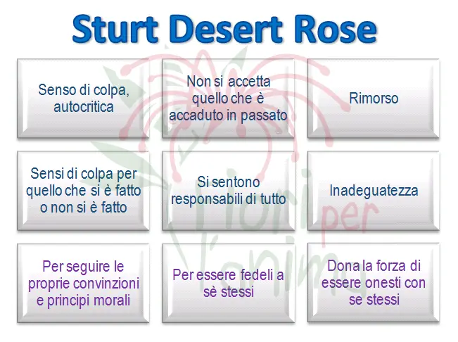 Schema riassuntivo dell'essenza
