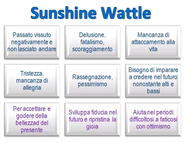 Schema riassuntivo dell'essenza