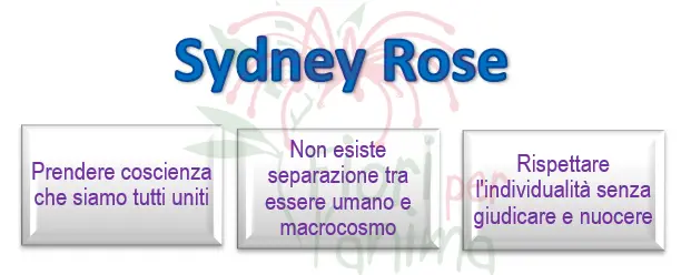 Schema riassuntivo dell'essenza