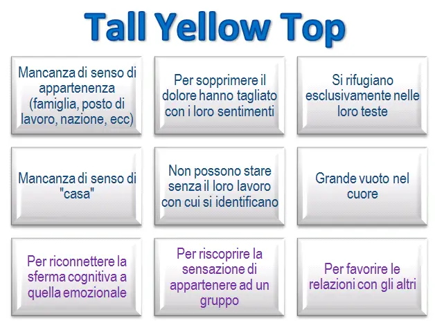 Schema riassuntivo dell'essenza