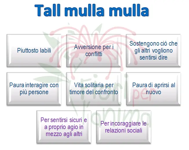 Schema riassuntivo dell'essenza