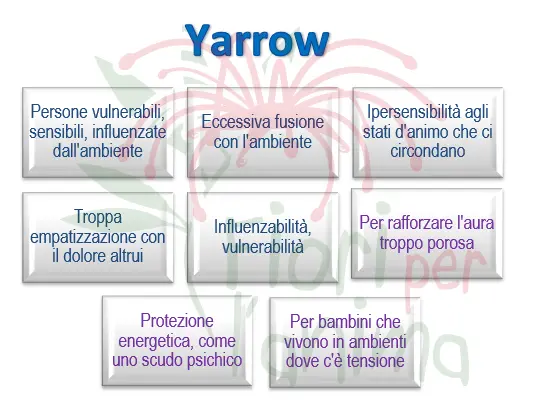 Schema riassuntivo dell'essenza