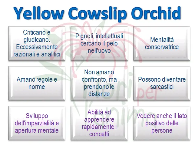 Schema riassuntivo dell'essenza