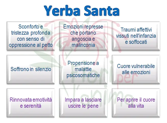 Schema riassuntivo dell'essenza