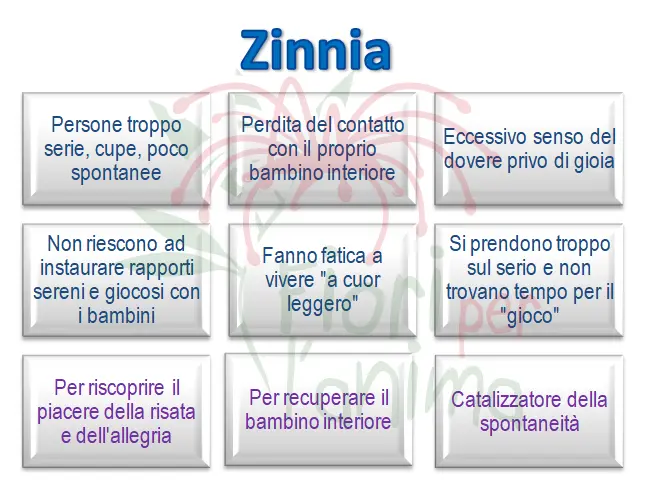 Schema riassuntivo dell'essenza