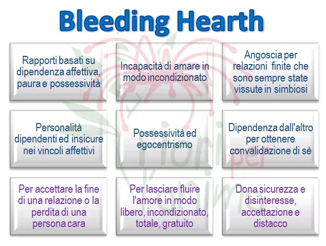 Schema riassuntivo dell'essenza