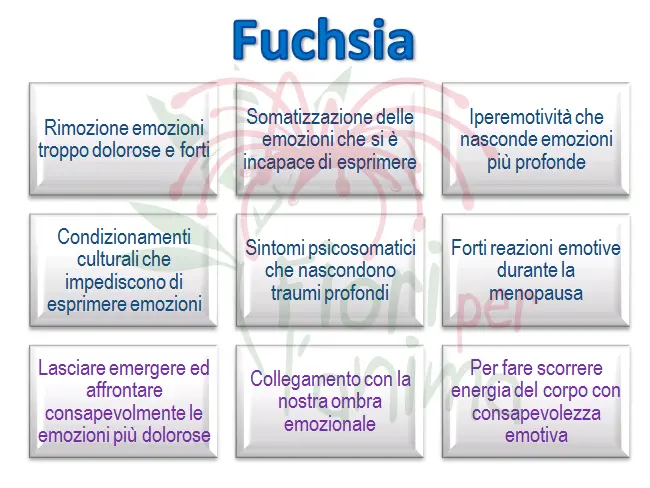 Schema riassuntivo dell'essenza