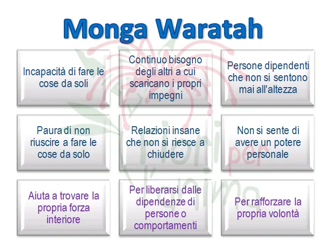 Schema riassuntivo dell'essenza