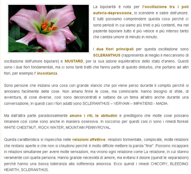 Foto dell'articolo