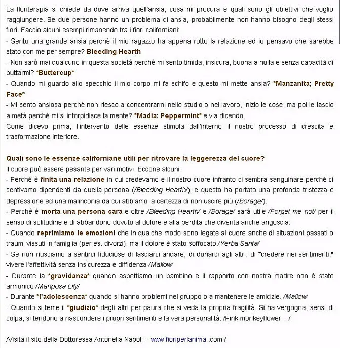 Foto dell'articolo