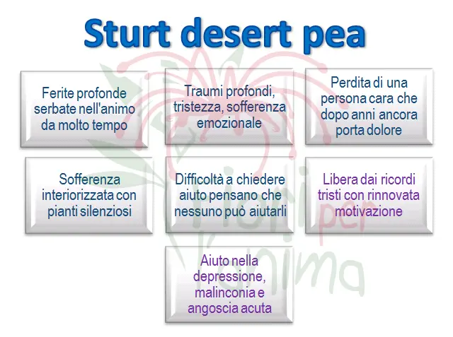 Schema riassuntivo dell'essenza